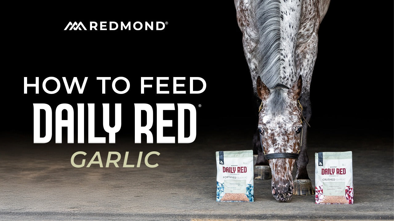 How to Feed Redmond Daily Red® Crushed™ Garlic - Mineral Supplement for Horses